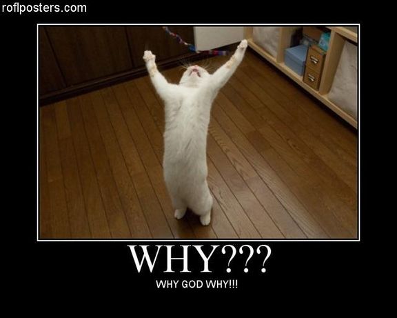 [Source: Google Images}